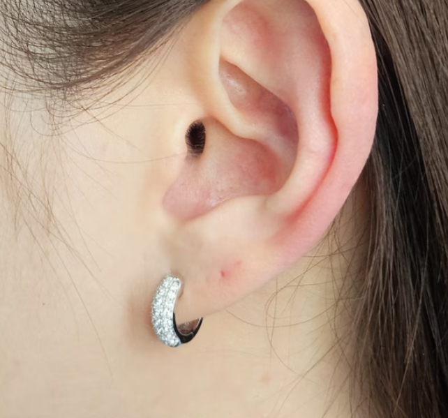 Round Cut Diamond Earring's