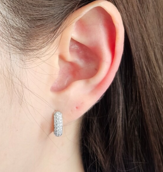 Round Cut Diamond Earring's