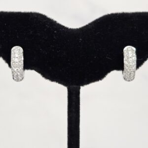 Round Cut Diamond Earring's